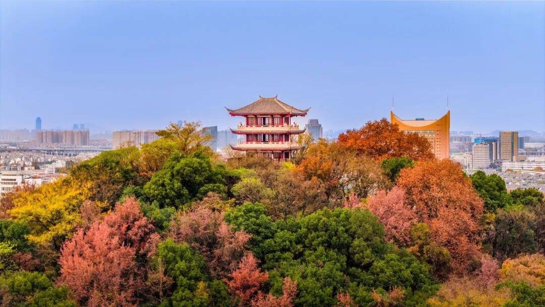 清理面积3万平米！这个春节绍兴府山公园更美了